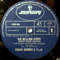 12 / RAHNI HARRIS & F.L.O. / SIX MILLION STEPS ( WEST RUNS SOUTH)