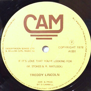 12 / TEDDY LINCOLN / IF IT'S LOVE THAT YOU'R LOOKING FOR
