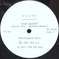 12 / MALIBU / KEEP WALKING (STREET MIX) / SAND IN MY TOES