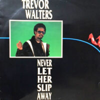 12 / TREVOR WALTERS / NEVER LET HER SLIP AWAY / YOU MAKE ME FEEL