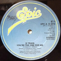 12 / D TRAIN / YOU'RE THE ONE FOR ME / (INSTRUMENTAL)
