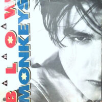 12 / BLOW MONKEYS / IT DOESN'T HAVE TO BE THIS WAY (LONG)