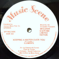 12 / ELEMENTS / DENNIS PINNOCK / KEEPING A WATCH OVER YOU / THE FEELING
