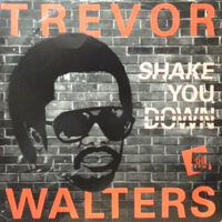 12 / TREVOR WALTERS / SHAKE YOU DOWN