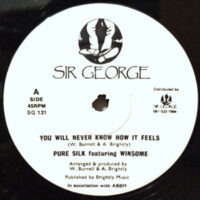 12 / PURE SILK FEATURING WINSOME / YOU WILL NEVER KNOW HOW IT FEELS