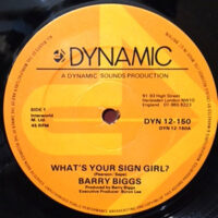 12 / BARRY BIGGS / WHAT'S YOUR SIGN GIRL? / SURELY