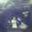 12 / SIMPLICITY / FEELING IS A FEELING / BEEN IN LOVE
