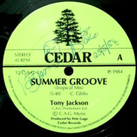 12 / TONY JACKSON / SUMMER GROOVE (TROPICAL MIX)