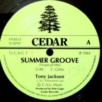 12 / TONY JACKSON / SUMMER GROOVE (TROPICAL MIX)