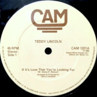 12 / TEDDY LINCOLN / IF IT'S LOVE THAT YOU'R LOOKING FOR