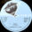12 / D. DUBERRY & L.P.J. BAND / MAGIC