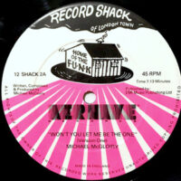 12 / MICHAEL MCGLOIRY / WON'T YOU LET ME BE THE ONE