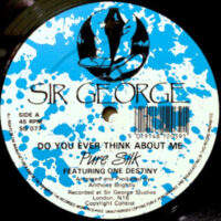 12 / PURE SILK FEATURING ONE DESTINY / DO YOU EVER THINK ABOUT ME / SHOW & TELL