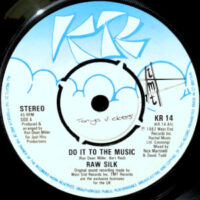 7 / RAW SILK / DO IT TO THE MUSIC / (DUB MIX)