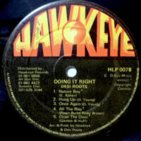 LP / DESI ROOTS / DOING IT RIGHT
