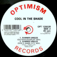 12 / COOL IN THE SHADE / SUMMER BREEZE (DON'S INNER CITY MIX)