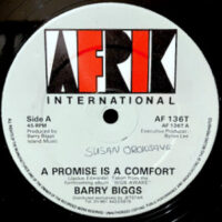 12 / BARRY BIGGS / A PROMISE IS A COMFORT