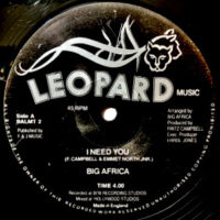 12 / BIG AFRICA / I NEED YOU