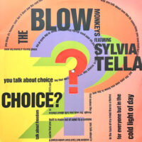 12 / BLOW MONKEYS FEATURING SYLVIA TELLA / CHOICE?