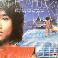 12 / DANIEL SAHULEKA / EV'RYBODY FEEL THE GROOVE (SPECIAL LONG DISCO VERSION)