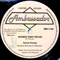 12 / DENNIS PINNOCK / THE FEELING / SATURDAY NIGHT FEELING