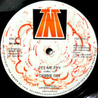 12 / DEBBIE GEE / WILL I EVER DO / LET ME TRY