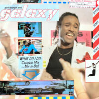 12 / PHIL FEARON AND GALAXY / WHAT DO I DO (CARNIVAL MIX) / (PINA COLADA MIX-IN-DUB)