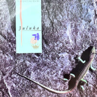 LP / JULUKA / THE INTERNATIONAL TRACKS