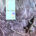 LP / JULUKA / THE INTERNATIONAL TRACKS