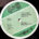 12 / SIMPLICITY / LET'S ROCK