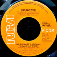 7 / DR. BUZZARD'S ORIGINAL SAVANNAH BAND / SUNSHOWER