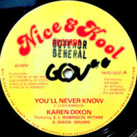 12 / KAREN DIXON / YOU'LL NEVER KNOW